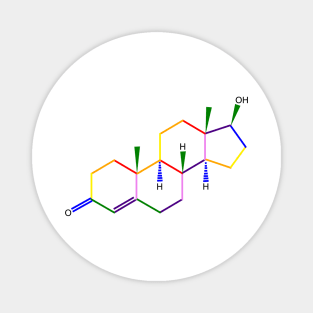 Testosterone Molecule Rainbow Chemistry Magnet